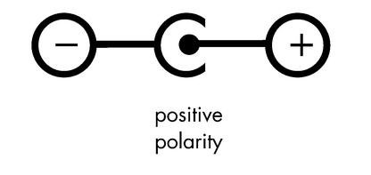 Polarity diagram
