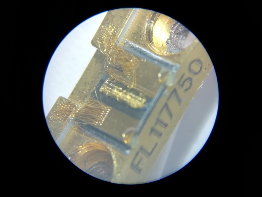 Laser diode under 20X optical zoom