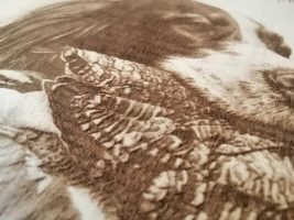 LightBurn Tutorial & a real story. Laser engraving / cutting software