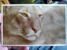 How I Became Interested in Laser Engraving by Dalan Morgan
