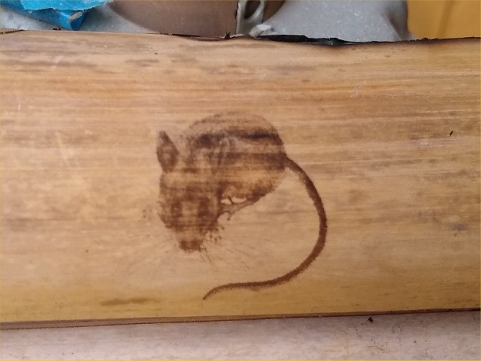 mouse laser engraved
