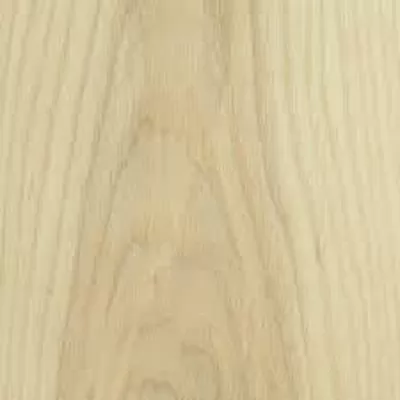 Density of Various Kinds of Wood and Plywood