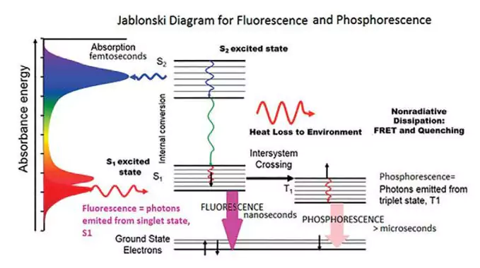 Laser induced fluorescence experiment