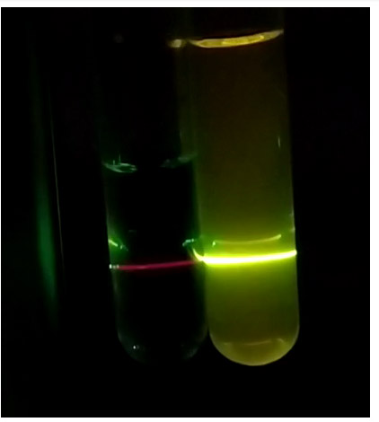 Laser induced fluorescence experiment