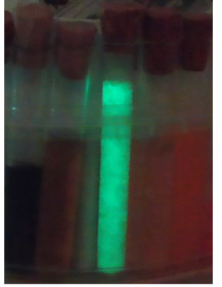 Laser induced fluorescence experiment