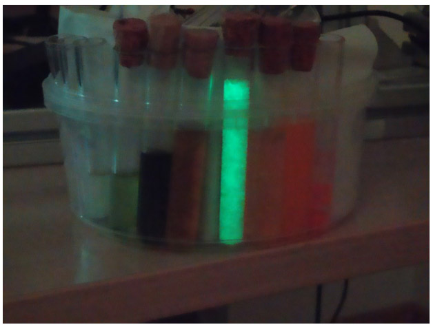 Laser induced fluorescence experiment