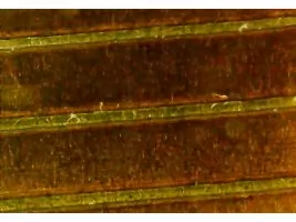 Laser kapton cutting - all you need to know