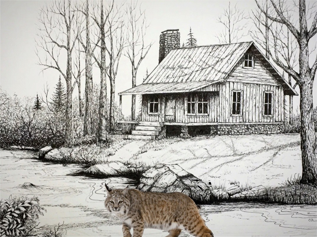 Bobcat winter image