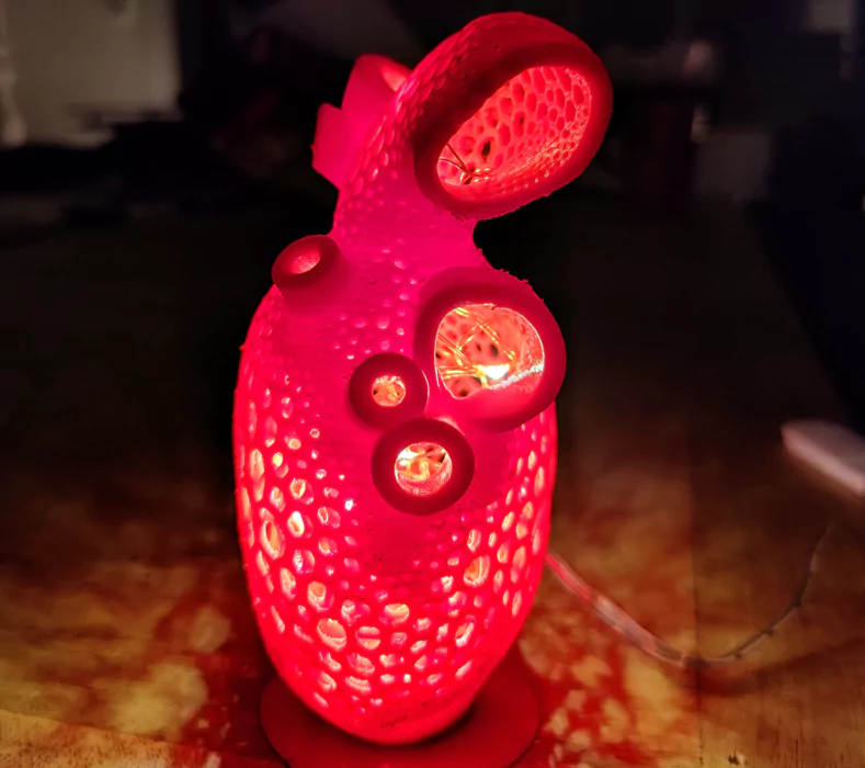 Anatomic Heart Light