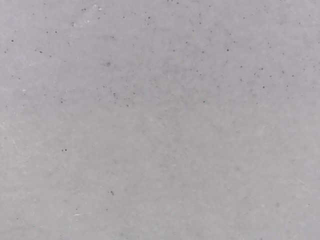 Removing laser toner from plain paper