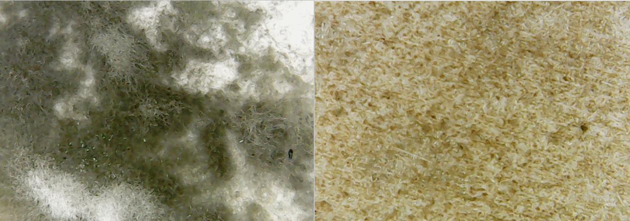 Figure 5 - View of the mold under the microscope before removal - on the left, the result after removal of the mold under the microscope - on the right.