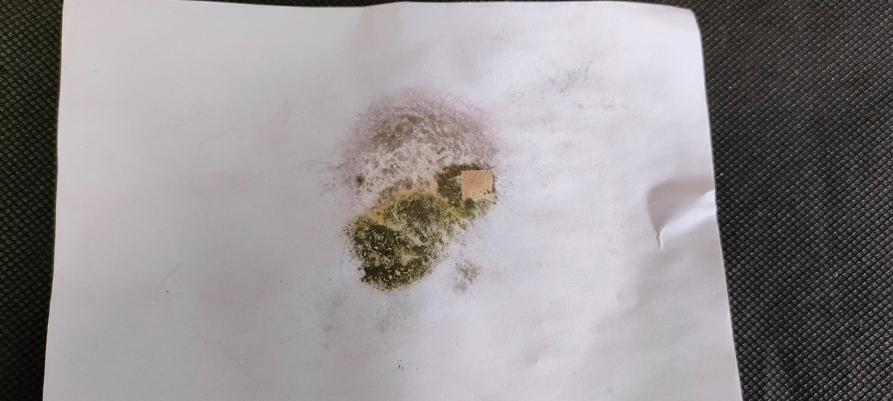 Figure 4 - Result of mold removal